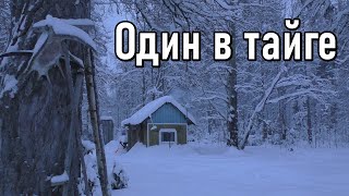 Второй Заезд На Участок,Один В Тайге,Изба,Отрыв От Цивилизации.