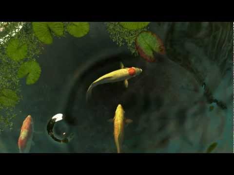 Koi Fish 3D Screensaver