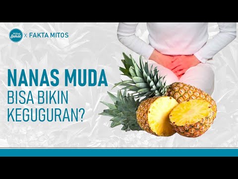 Video: Apa Itu Nanas Merah Muda - Fakta Buah Nanas Merah Muda