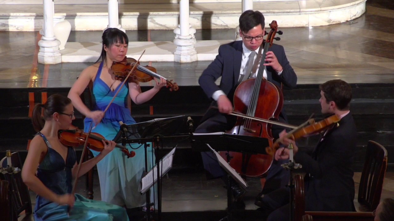 Haydn Op. 74-2 1st Mv - YouTube