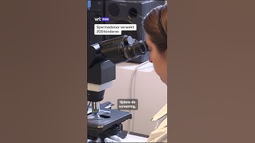Spermadonor met genetische afwijking verwekt bijna 200 kinderen in Europa