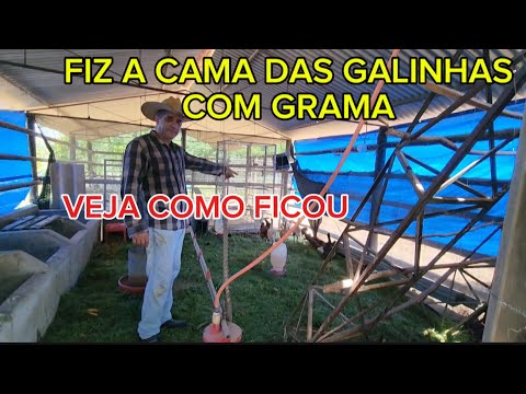 ROTINA NA ROÇA.
