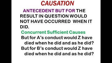 Criminal Video Presentation 6 - Causation
