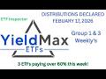 YieldMax Group 1 & 3 Weekly Distribution Declarations for February 17, 2026