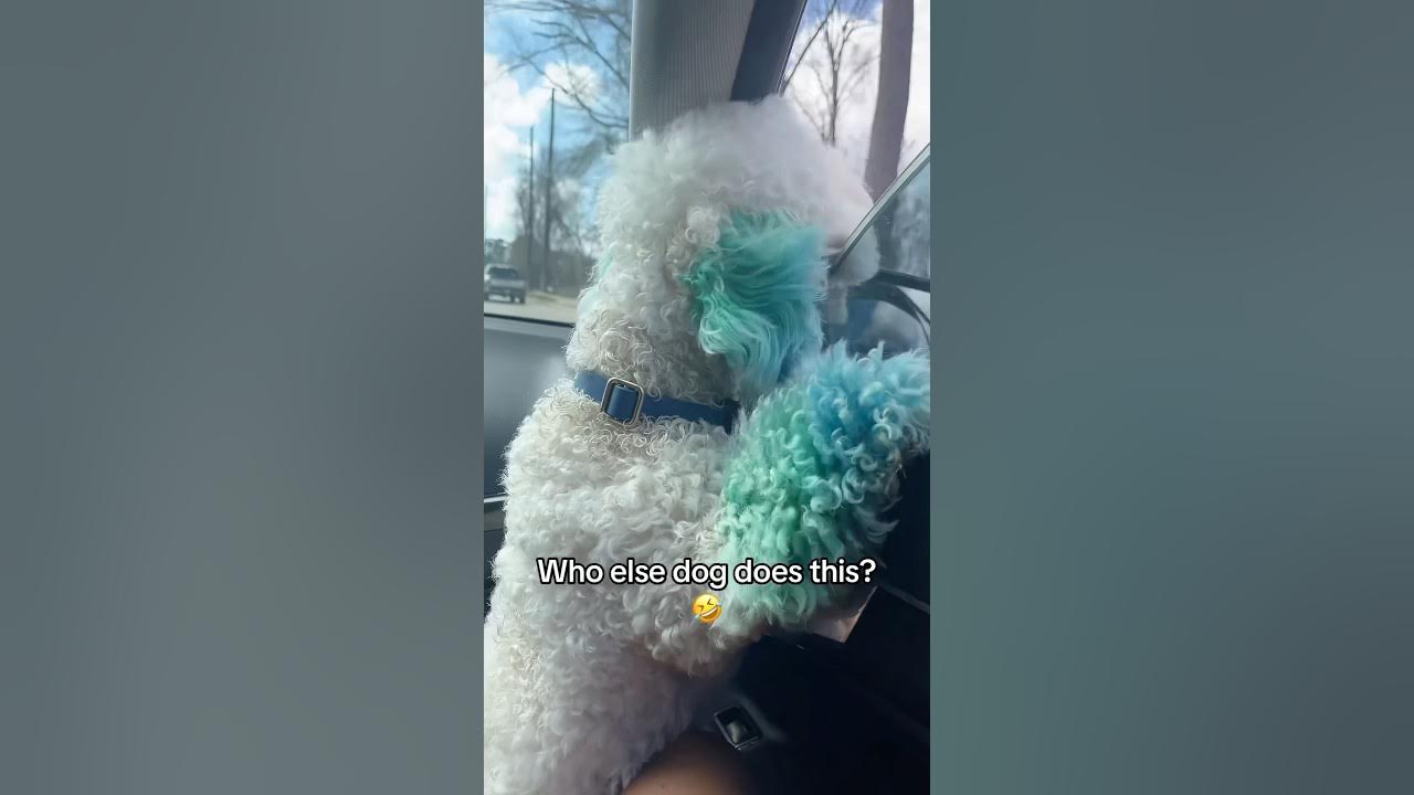 Cloud Cult Man Jumped Out The Window He jumped out the window😱 - YouTube