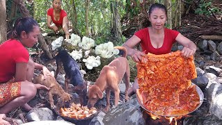 Pork curry spicy delicious with Mushroom Eating with dog - Survival in the rainforest