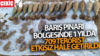 Barış Pınarı Harekatı Bilançosu 9.03.2021 Turkey