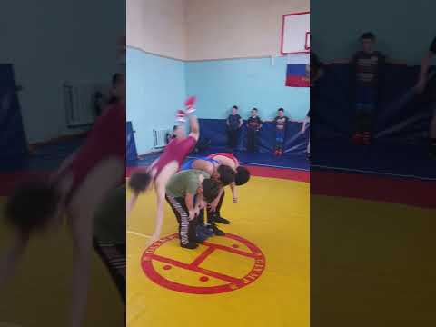 Борцуха Великий Новгород