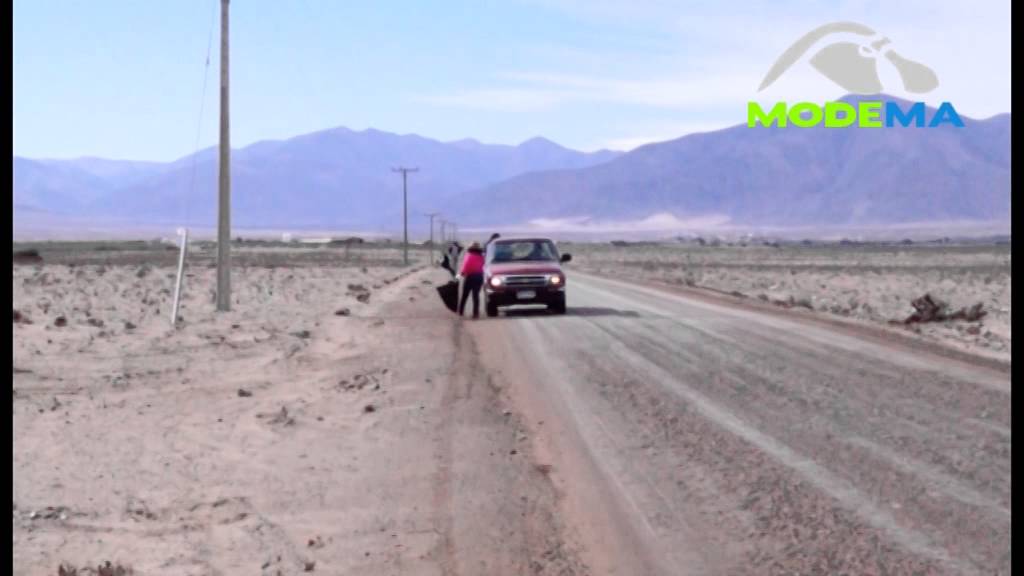 jornada de limpieza El Llano, Los Choros