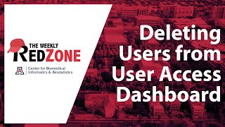 Deleting Users from User Access Dashboard