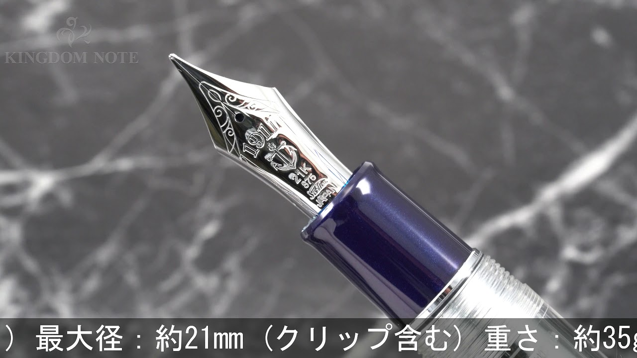 SAILOR セーラー 万年筆 趣味の文具箱限定 プロフェッショナルギア KOP