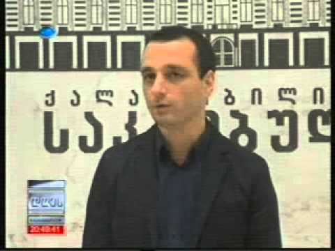 ირაკლი აბესაძე დოკუმენტში არსებულ ხარვეზებზე საუბრობს