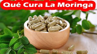 PARA QUE SIRVE LA MORINGA, Sus Impresionantes BENEFICIOS Y PROPIEDADES