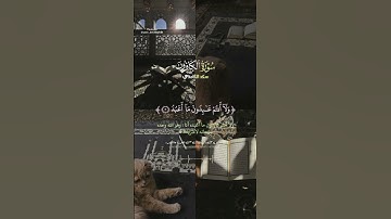 {قل يا أيها الكافرون} سورة الكافرون القارئ سعد الغامدي 💛🦋 #قرآن