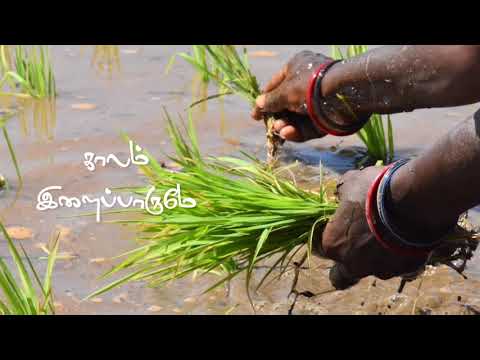 Silu silu vendru  Vanamagan Nature whatsapp status