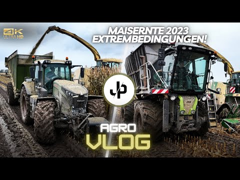 Extrembedingungen im Mais