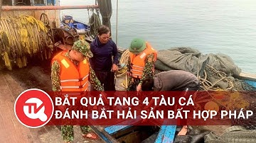 Bắt quả tang 4 tàu cá vi phạm quy định về khai thác hải sản trên biển tại vùng biển Vũng Tàu
