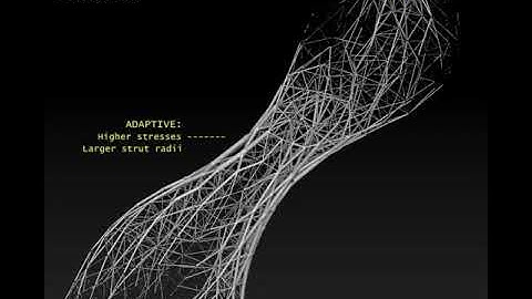 Hgon Adaptive Optimization (Tech Demo # 5a)