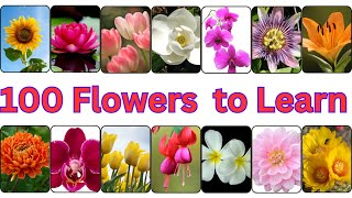 100 Flower Names || 100 Flower Names Every Kid Should Know