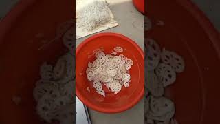 801型切菜机,两端可同时切菜,具备切丝切片等多种切割方式