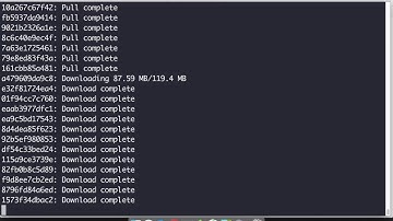 Running Jenkins on Docker