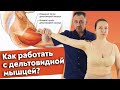 Болит плечо! / Дельтовидная мышца человека / Пошаговая инструкция работы с дельтовидной мышцей