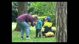 Rtv Šumadija - Kako Izbeći Komplikacije Uzrokovane Ujedom Krpelja