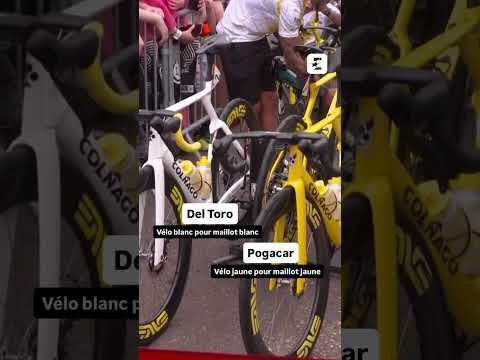 😍 Oh qu’ils sont beaux #tourdefrance #shorts