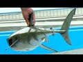 HOMEMADE RC SHARK MODELS SWIM IN THE POOL