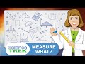 The Evolution And Importance Of Measurement Through History