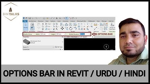 OPTIONS BAR IN REVIT / URDU / HINDI