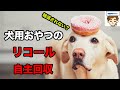 【報道されない】犬用おやつのリコール、自主回収　〜獣医が解説〜