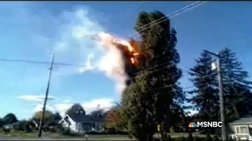 Power Line Causes Tree Fire