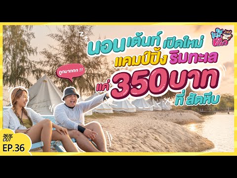 นอนเต้นท์เปิดใหม่ แคมป์ปิ้งริมทะเล!! แค่ 350 บาท!! ที่ 'สัตหีบ' | หมีเที่ยว EP.36