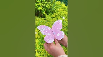 Flying butterfly making