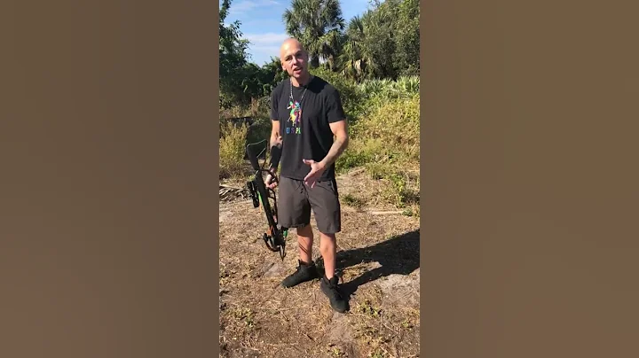 Legal weapons for felons pt2