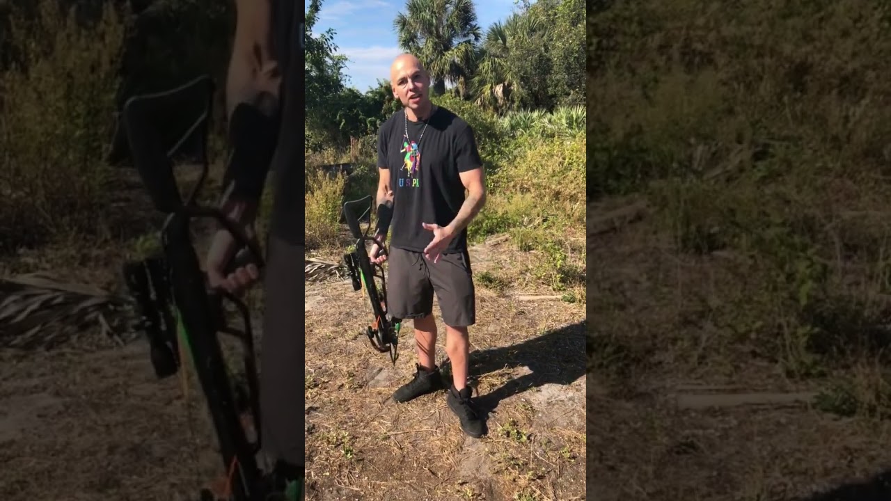 Legal weapons for felons pt2