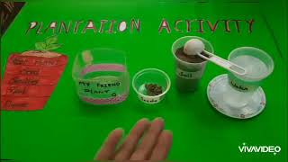 PLANTATION ACTIVITY For Preschool kids.