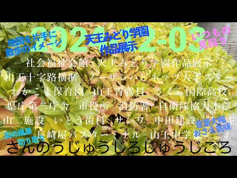 2024-12-03さんのうじゅうじろじゅうじごろ