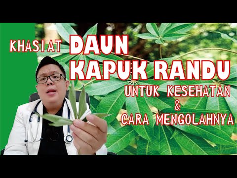 Video: Minyak Neem untuk Anjing Menghentikan Gatal-gatal, Menyembuhkan Kulit, dan Menolak Fleas dan Mosquitos