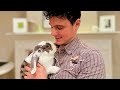 Who Is Bini Junior The Bunny Who Is Bini Junior The Bunny