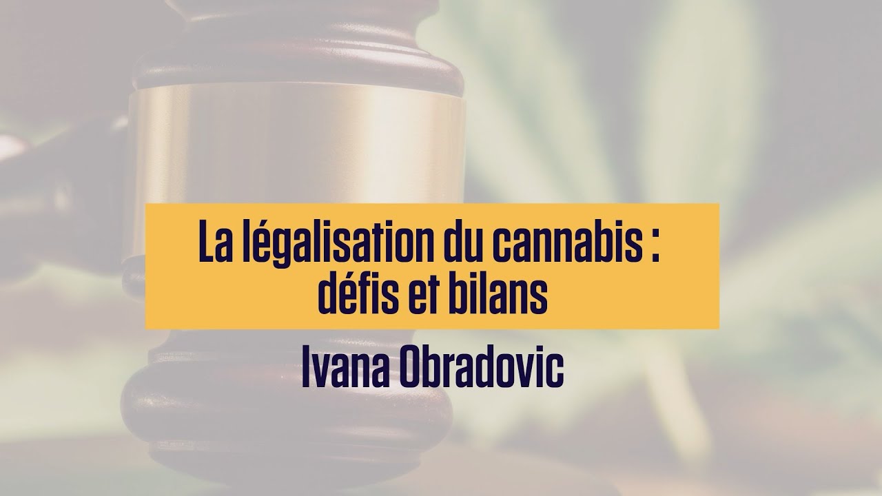 La légalisation du cannabis : défis et bilan