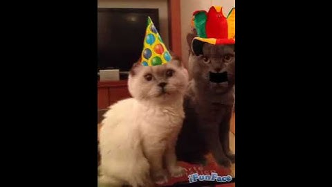 Thumbnail of Feliz Cumpleaños Jhonny