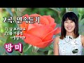 가수 방미 노래 2곡 연속듣기 가수 방미 노래 2곡 연속듣기