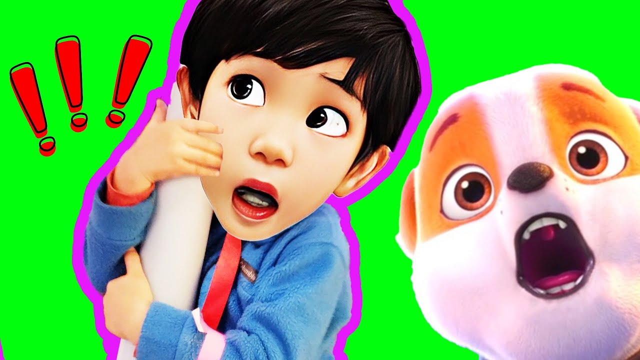 Boo Boo With Paw Patrol Zipline| DoReMi Kids Songs - YouTube