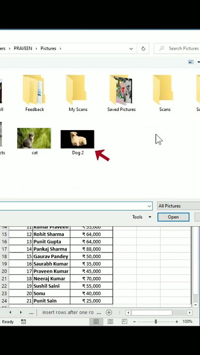 Excel Trick: How to insert background image behind cells in Excel?