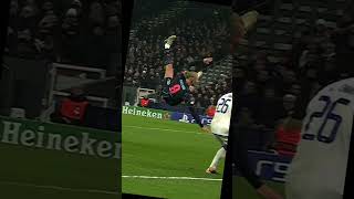 Hayat Kisa Haaland Uçuyor