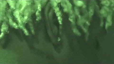 ken car$on - untitled *new snippet*