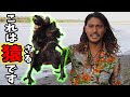 【衝撃】犯罪ギリギリ!?サルを食べてみたinアマゾン