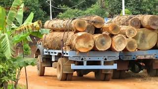 Logging truck - TATA 1212 TC turbo 4×4